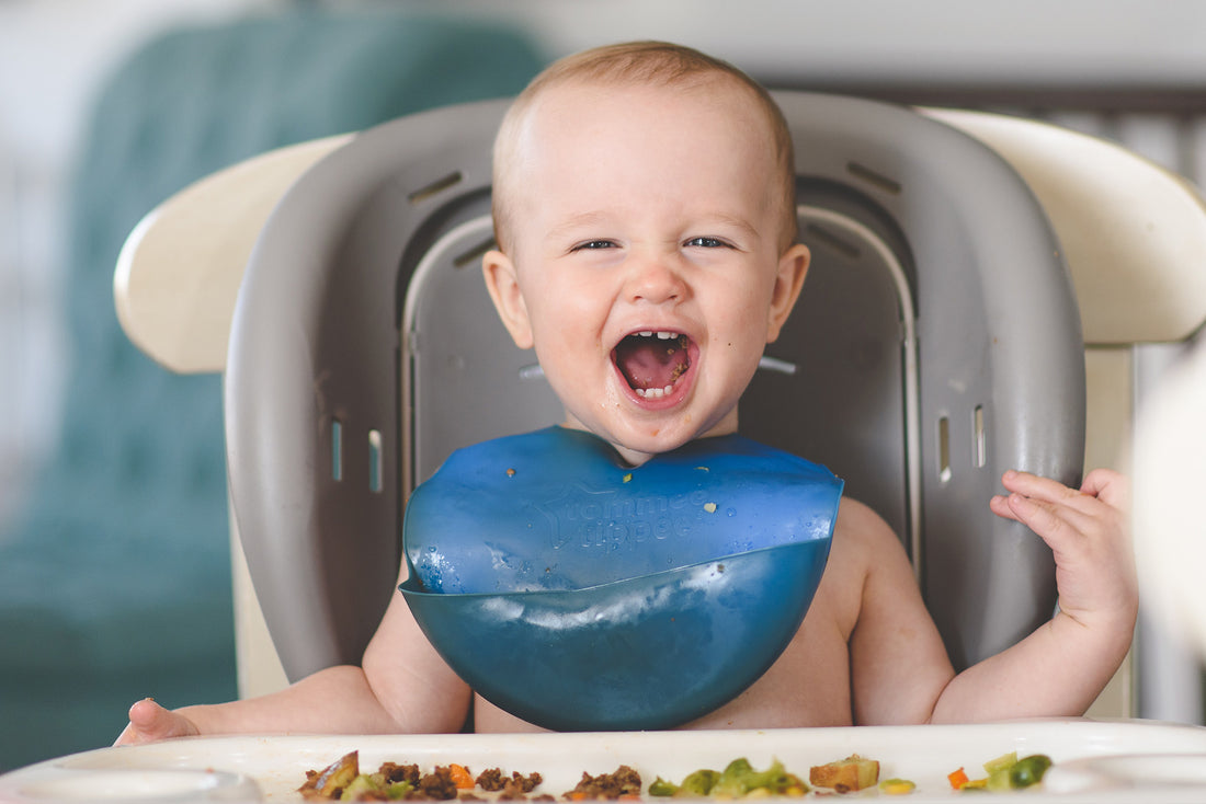 food-kleinkiner-nüsse-honig-brei-babys-obst-gemüse-fleisch